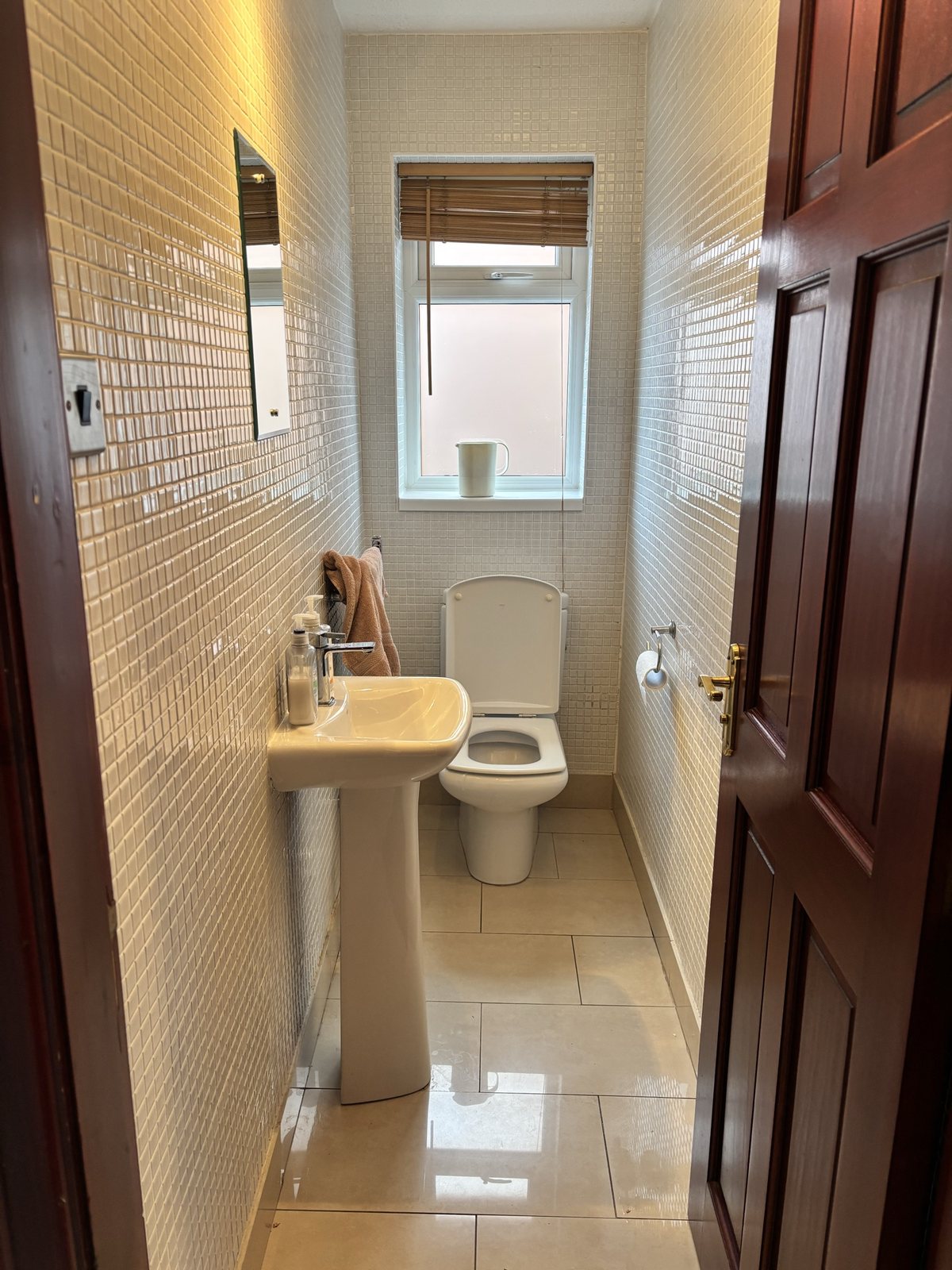 W/C before: narrow mosaic-tiled cloakroom